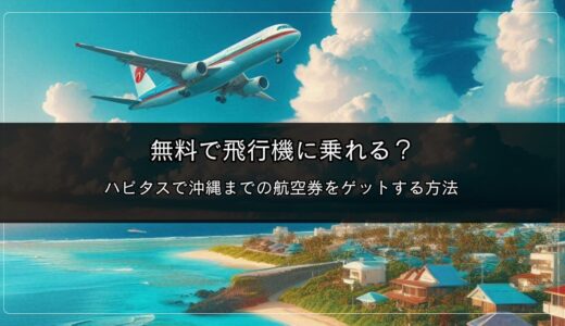 無料で飛行機に乗れる？ハピタスで沖縄までの航空券をゲットする方法