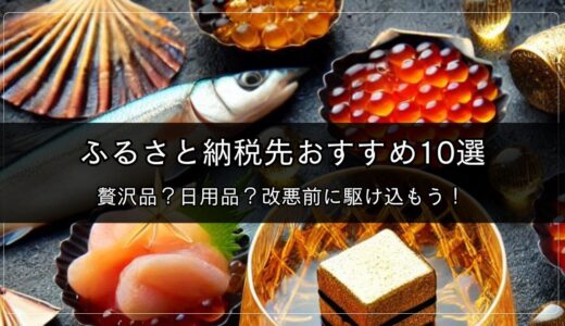 ふるさと納税先おすすめ10選｜贅沢品？日用品？改悪前に駆け込もう！